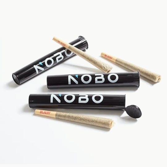 NOBO - GOAT-NOBO | Bali Nights | Pre Roll | 1g - 1