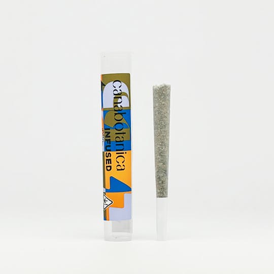 Canabotanica - Glitter Bomb x Wappa - 1g - Infused - Indoor Pre-Roll - 1