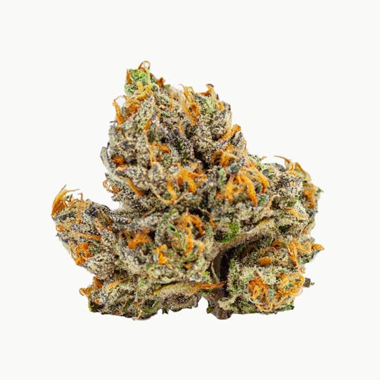 Resonant Cultivation - Glazed Apricot Gelato - 1