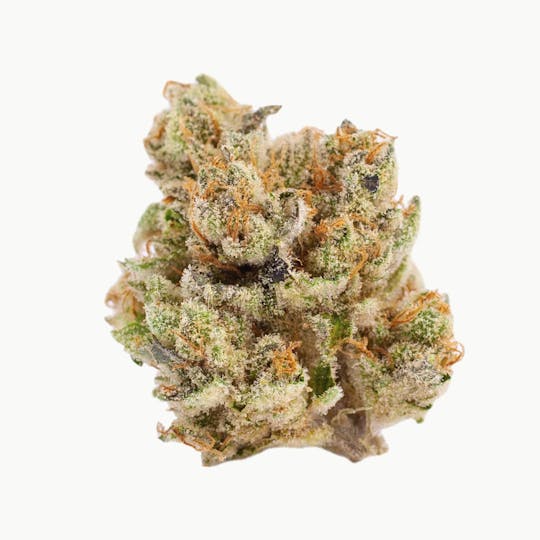 Resonant Cultivation - Mimosa - 1
