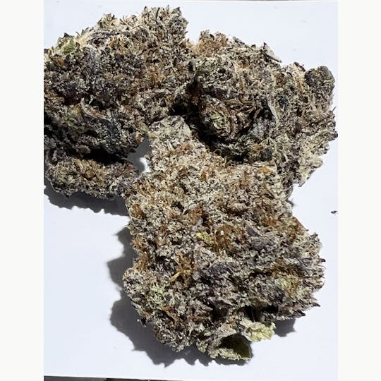 Red Moon - Pai Gow - 1