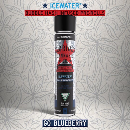 Glorious Cannabis Company - Go Blueberry 1G | ICEWATER Infused Bubble Hash | Glorious Cannabis Co. - 1