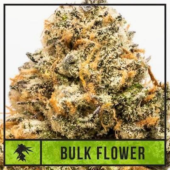 Natty Rems - Banana Punch - 3.5g Flower - 1