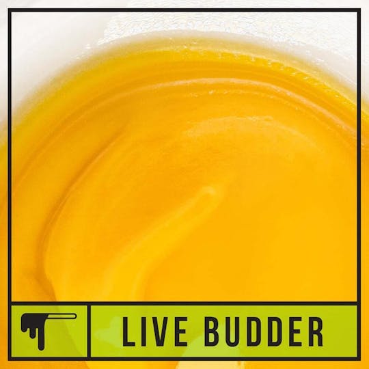 Natty Rems - Bitter Cookies 2g Live Budder - 1