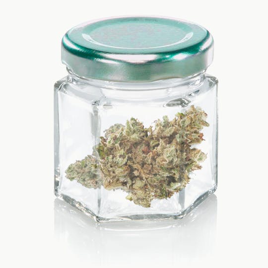 Natty Rems - Peach Crescendo - 28g Flower - 1