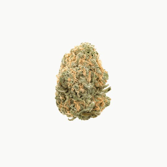Original Intelligence - Blue Venom (Blue Dream X White Widow) - 1g Flower - 1