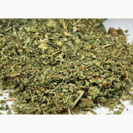 Original Intelligence - Blue Venom (Blue Dream X White Widow) - 28g Sugar Shake - 1