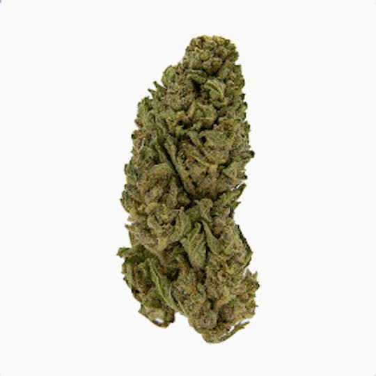 Smoakland - Exclusive - Gorilla Glue (H) - 28g - 1