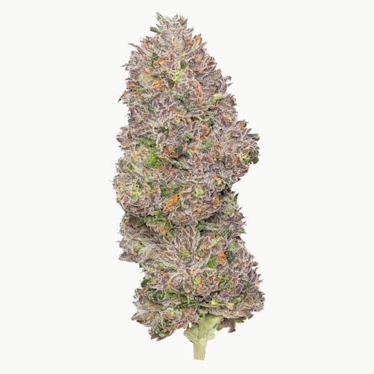 Enlighten - Jokerz Deli Flower - 1