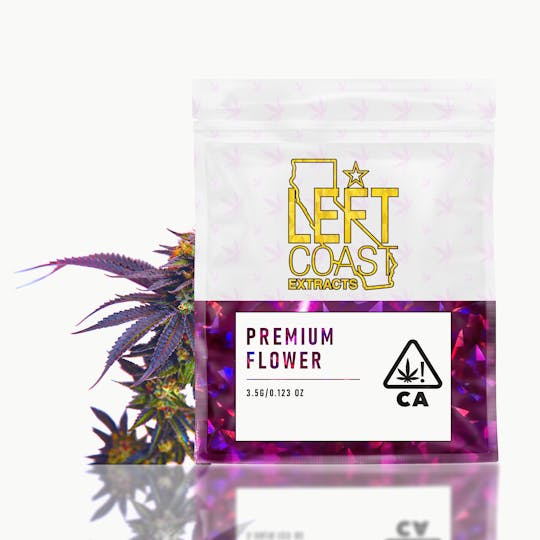 LEFT COAST - Berry Runtz - Small Flower Buds (7g) - 1