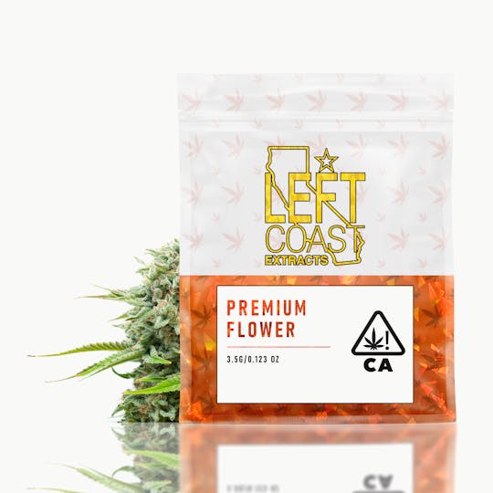 LEFT COAST - Thin Mintz - Small Flower Buds (7g) - 1