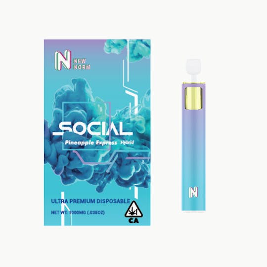 New Normal - Social 1g - Pineapple Express Disposable - 1