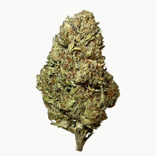 Smoakland - Signature - Splash Brothers Gushers (H) - 28g - 1