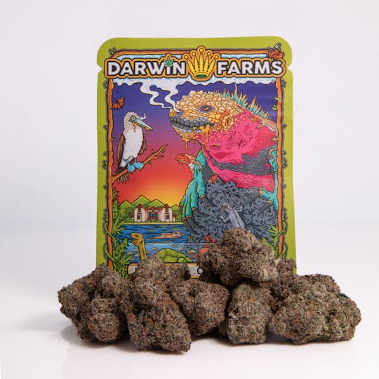 Darwin Farms - Sugar High - 1
