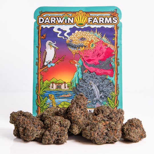 Darwin Farms - Rainbow Runtz - 1
