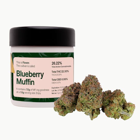 MFNY - Blueberry Muffin Flower - 1
