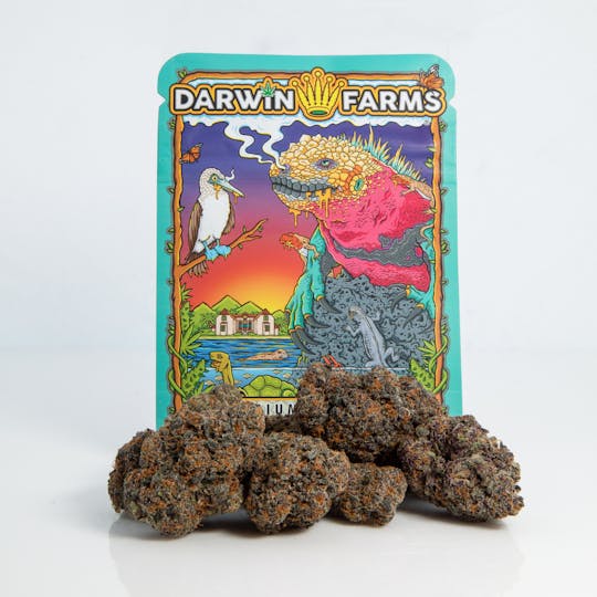 Darwin Farms - Sudz - 1