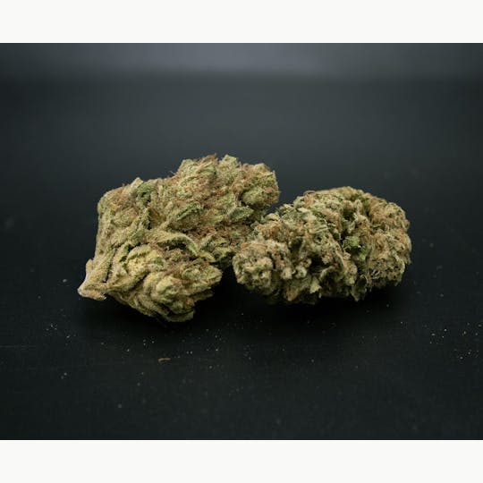 Trusty Transportations - Hella Jelly 1 Gram (30%THC,SATIVA) - 1