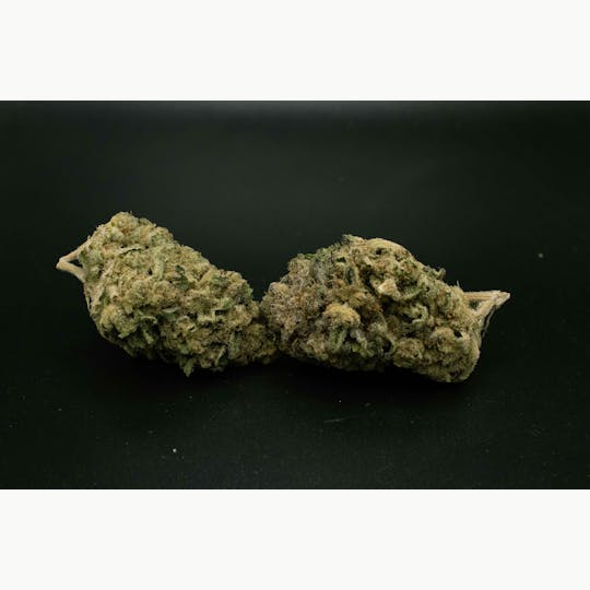 Trusty Transportations - Green Apple Gas 1 Gram (27%THC,SATIVA) - 1