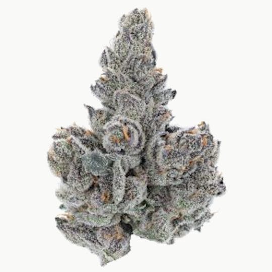 River Driver Cannabis Co - Gastro Pop 7g - 1