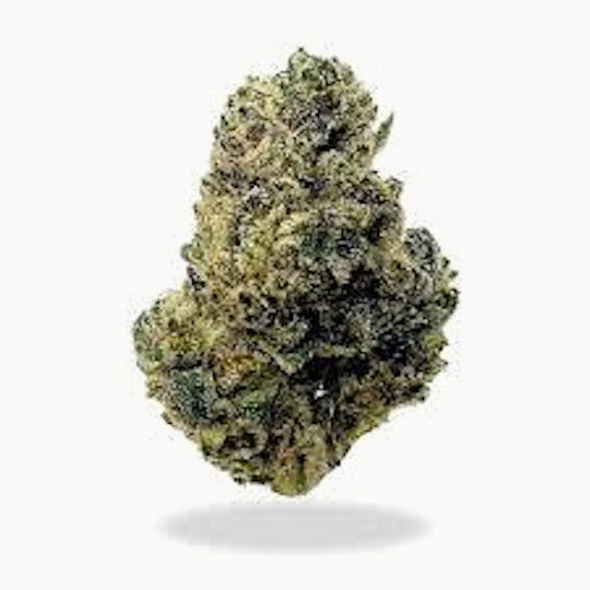 Cannafeen - CANDY APPLE - 1