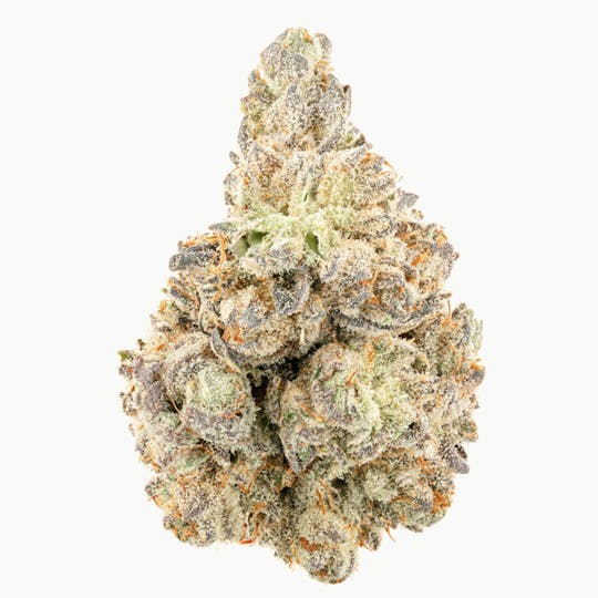 Za - Black Ice - 1