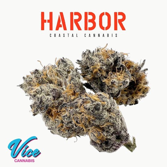 Vice Cannabis - Gas Face: Flower (Harbor Cannabis) - 1
