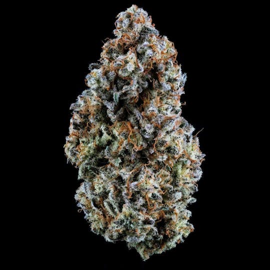 Vice Cannabis - Lemon Pastries: Flower (Maine Trees) - 1