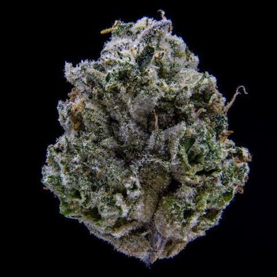 East Coast Cannabis - Blue Slushie - 1