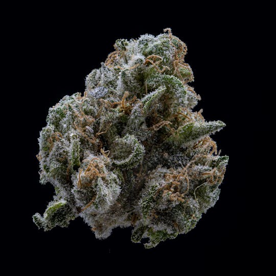 East Coast Cannabis - Deep Fried Ice Cream - 1