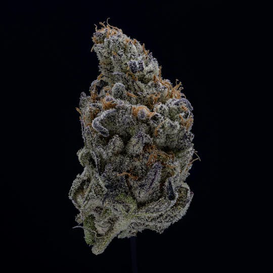 East Coast Cannabis - Devil Driver - 1
