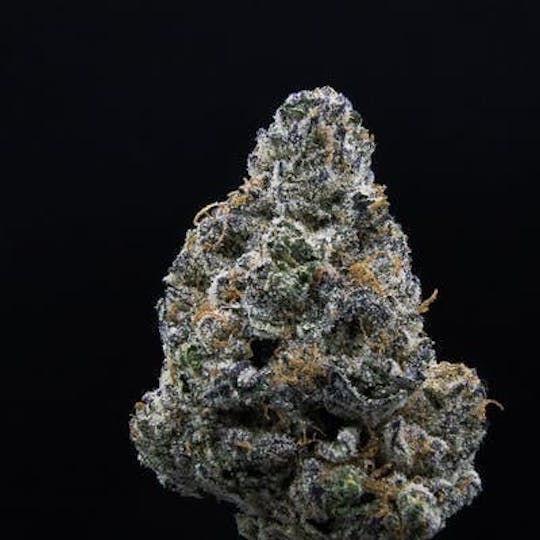 East Coast Cannabis - Ice Cream Cake - 1