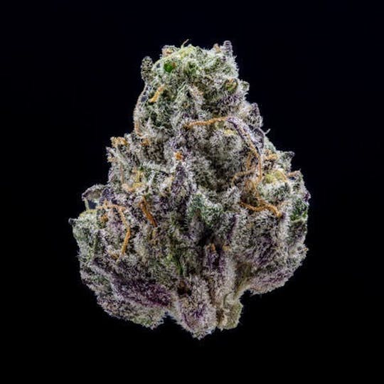 East Coast Cannabis - Lemon Iccee - 1
