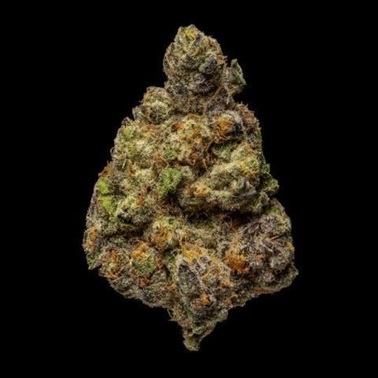 East Coast Cannabis - Pablo's Revenge - 1