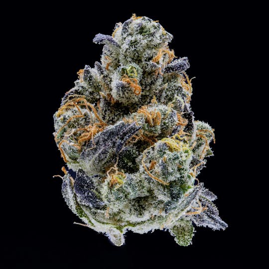 East Coast Cannabis - Sour Sniffits - 1