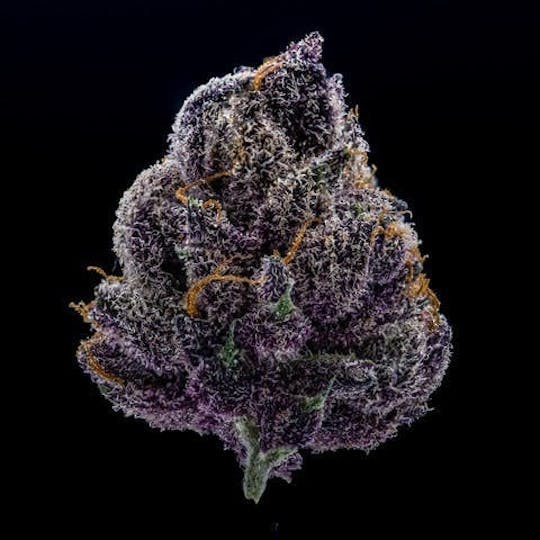 East Coast Cannabis - Tropicana Cherries - 1