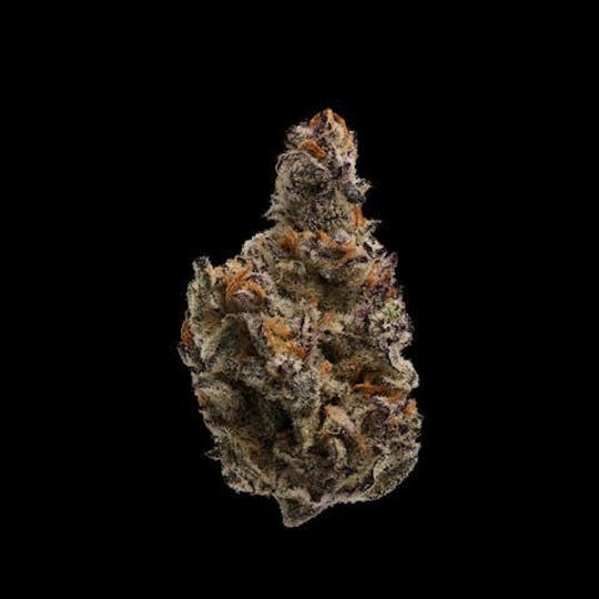 East Coast Cannabis - Truffle Devil - 1
