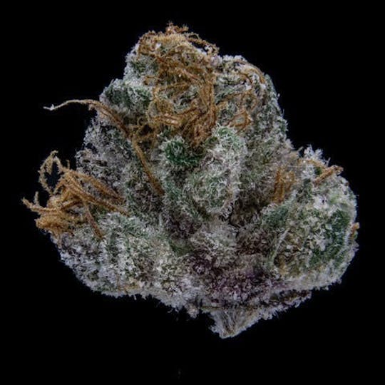 East Coast Cannabis - Lemon Cherry Gelato - 1