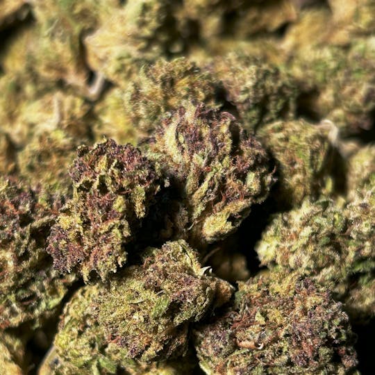 Daedalus Craft Cannabis - $75 Ounce of the Day - Ancient OG Project - SMALLS ONLY - 1
