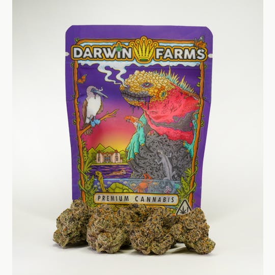 Darwin Farms - G3 - 1