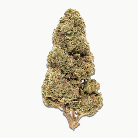 Smoakland - Black - Jelly Rancher (S) - 14g - 1