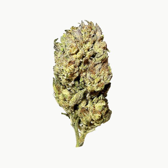 Smoakland - Black - Wet Wet (H) - 14g - 1