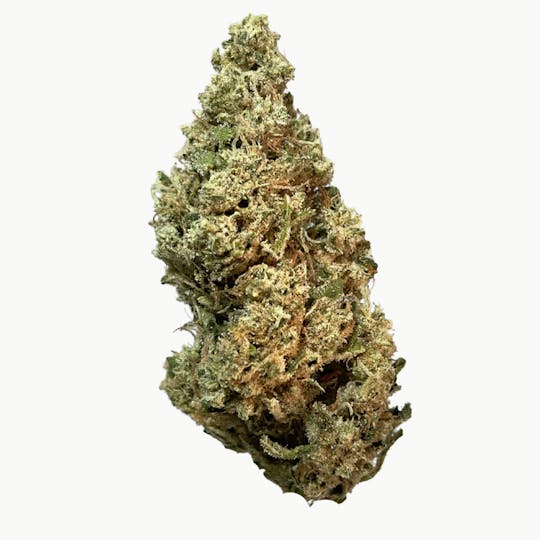 Smoakland - Exotix - Jack the Ripper (S) - 14g - 1