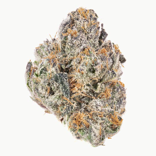 Quality Over Quantity - Watermelon Martini 3.5g - 1