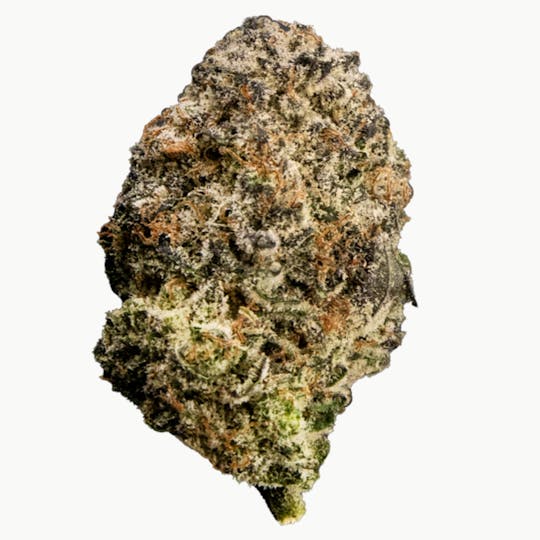 Cepalegre - Black Ice - 1
