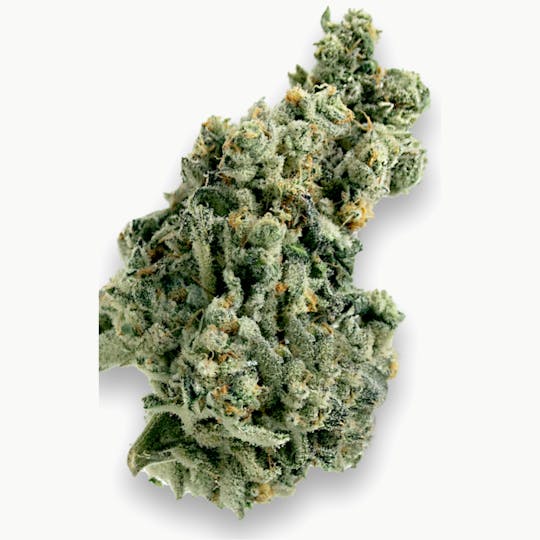 Cepalegre - Cap Junky - 1
