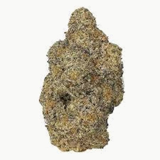 Cannafeen - TROPICANA CHERRIES - 1