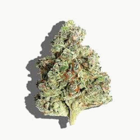 Cannafeen - WHITE RAINBOW - 1