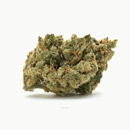 Great Northern Cannabis - Great Northern Cannabis Crescendo Flower (Sativa) - 1
