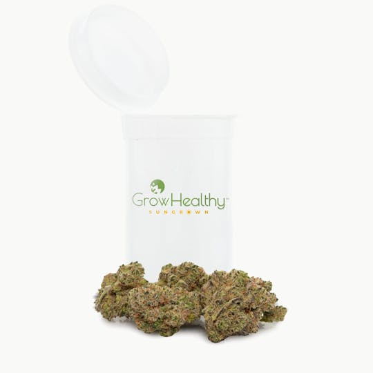 GrowHealthy - Guava Gas Sungrown Flower™ - 1